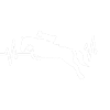 Ride