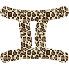 Signe du zodiaque Gémeaux