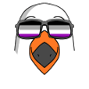 Asexual Lgbt Seagull Asexuality