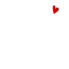 Team Bridal Wedding Celebration
