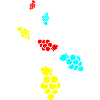 grapes