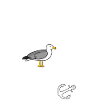 Ich will Meer