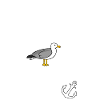 Nordsee Liebe