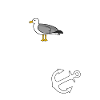 Moin Möwe