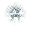 Rowing Rower Rowing Boat Team