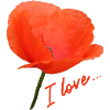Poppy I love Poppy
