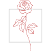 Rose