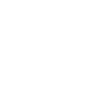 BBQ Grill Gas Griller