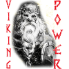 Puissance viking