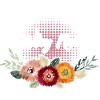 Why not Feminist