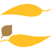 Autumn vibes (curved leaves)