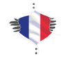 france flag proud