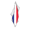 france flag proud french