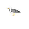 Moin mit Möwe