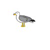 Moin Möwe
