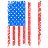 New Hampshire Usa flag gift