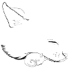 chat et souris