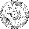 bouclier dragon