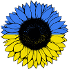 Sunflower Ukraine Sonnenblume