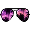 cool sunglasses with palm tree