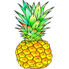 Ananas farbenfroh