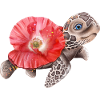 Sweet turtle with poppy
