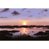 Lac
