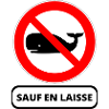 baleine interdite