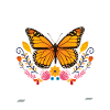 Entomology Insects Milkweed Monarch Butterfly