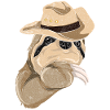 Cowboy Animal Motif Gift Sloth