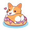 Corgi carino che mostra il sedere sul galleggiante della piscina della ciambella