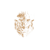 American Bison Buffalo