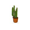 Gärtnerin