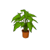 Gärtnerin