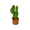 Gärtner Passion