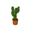 Gärtner Passion