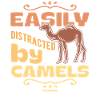 Easily Distracted By Camels