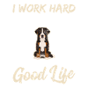 Jeg arbejder hårdt, så min Berner Sennen hund skotsk te