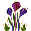Fleur