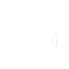 Schräger Vogel
