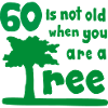 60