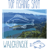 walchensee,lake,fishing,fish