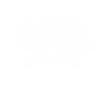 Hedgehog - My Homies - neg