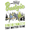 Budgerigar Welli Parakeet