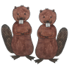 Beaver Couple Love Rodent