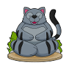 Cat at Yoga Fitness
