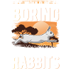 Rabbit Gift Rabbit Rabbit