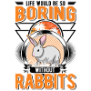 Rabbit Gift Rabbit Rabbit