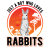 Rabbit Young Rabbit Rabbit