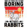 Rabbit Gift Rabbit Rabbit